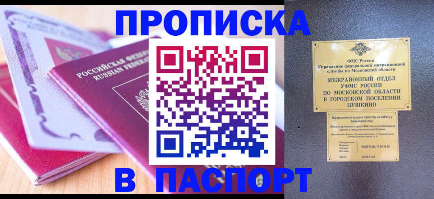 прописка законно в Стародубе